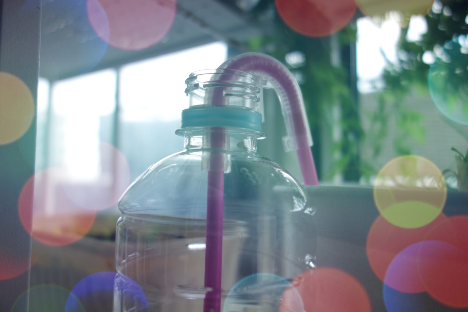 ペットボトルを利用した植木鉢用自動給水機(ミドリの水番) なんかいろいろ生活BLOG